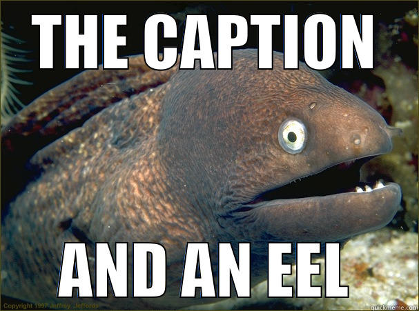 THE CAPTION AND AN EEL Bad Joke Eel