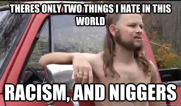 Theres only two things I hate in this world racism, and niggers  Almost Politically Correct Redneck