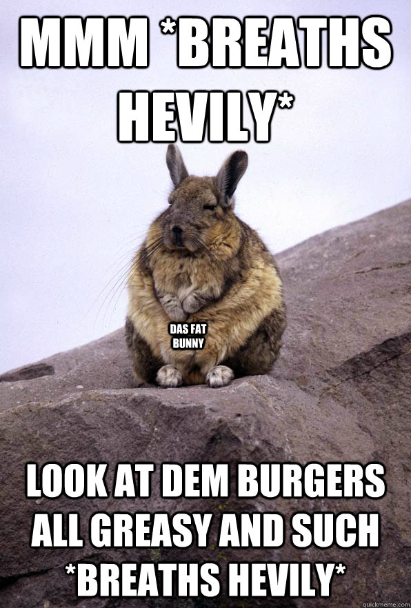 mmm *breaths hevily* look at dem burgers all greasy and such *breaths hevily* das fat bunny  Wise Wondering Viscacha