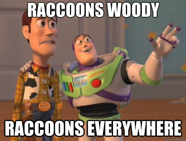 Raccoons Woody Raccoons everywhere - Raccoons Woody Raccoons everywhere  Toy Story