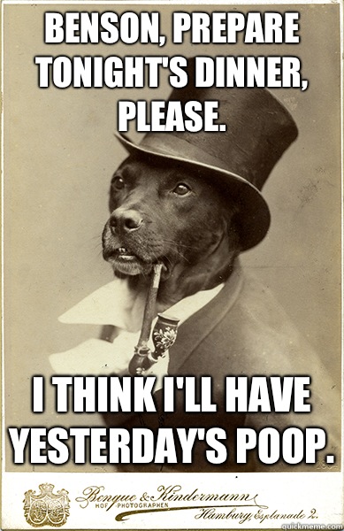 benson, prepare tonight's dinner, please.  I think I'll have yesterday's poop.  - benson, prepare tonight's dinner, please.  I think I'll have yesterday's poop.   Old Money Dog