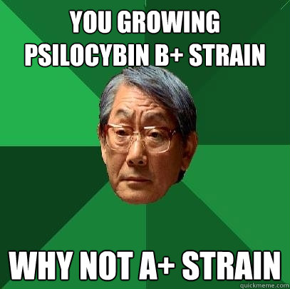 You growing psilocybin b+ strain why not a+ strain  High Expectations Asian Father