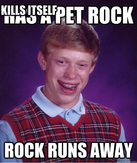 Has a Pet rock rock runs away kills itself - Has a Pet rock rock runs away kills itself  Bad Luck Brian