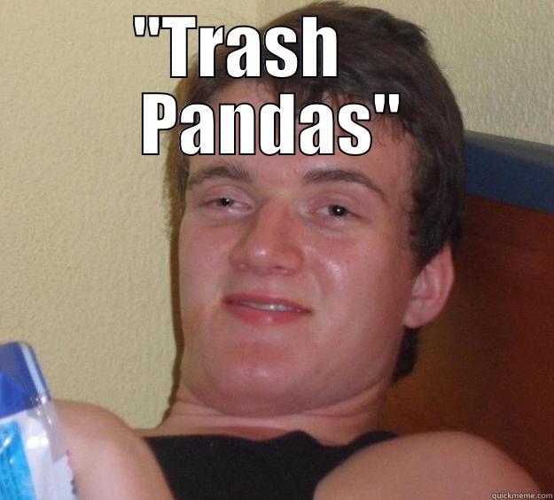 Trash Pandas - 