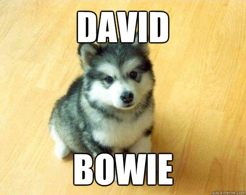 David Bowie  Baby Courage Wolf