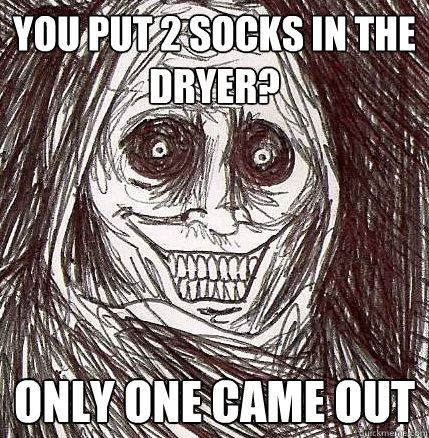 You put 2 socks in the dryer? ONLY ONE CAME OUT  Horrifying Houseguest