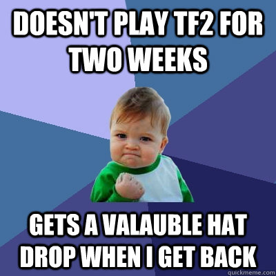 Doesn't play TF2 for two weeks Gets a valauble hat drop when I get back  Success Kid