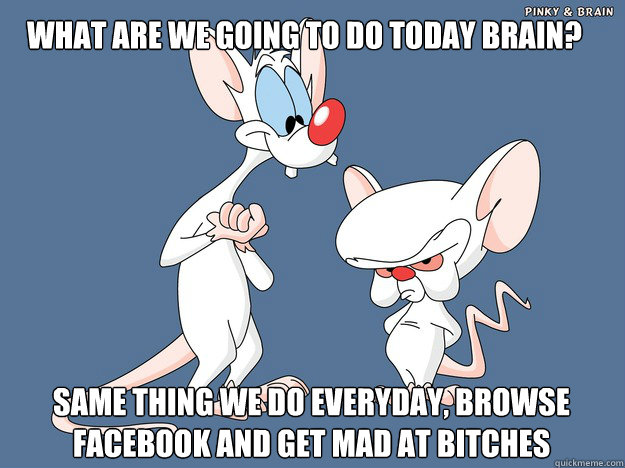 What are we going to do today brain? same thing we do everyday, browse facebook and get mad at bitches  Pinky and the Brain