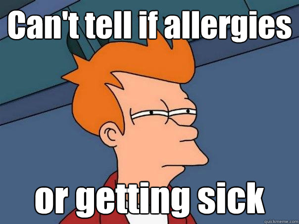 Can't tell if allergies or getting sick  Futurama Fry