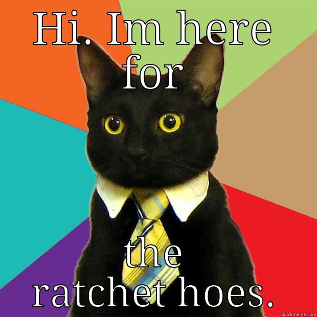 HI. IM HERE FOR THE RATCHET HOES. Business Cat