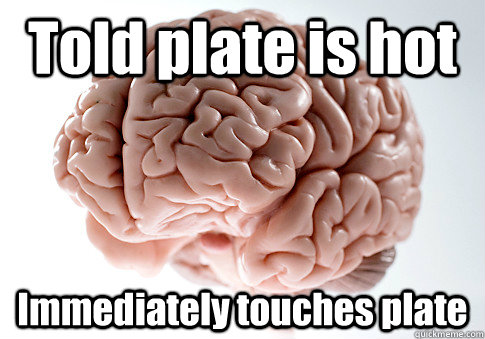 Told plate is hot Immediately touches plate   Scumbag Brain