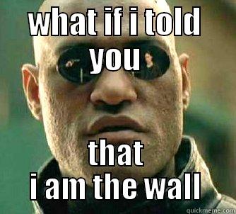 WHAT IF I TOLD YOU THAT I AM THE WALL Matrix Morpheus