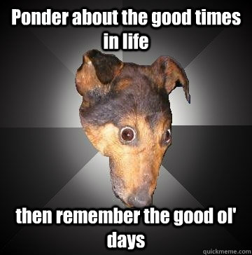 Ponder about the good times in life then remember the good ol' days  Depression Dog