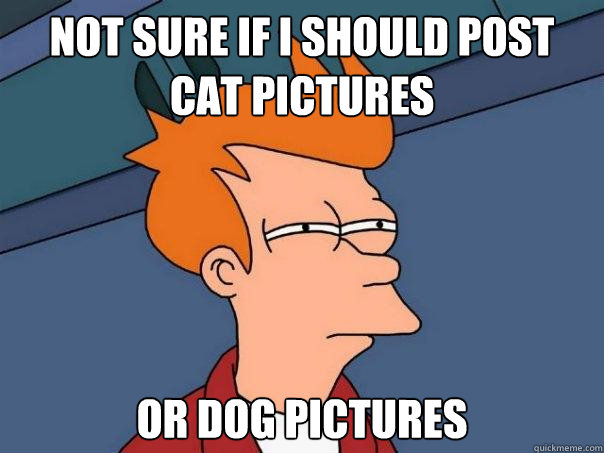 Not sure if I should post cat pictures Or dog pictures - Not sure if I should post cat pictures Or dog pictures  Futurama Fry