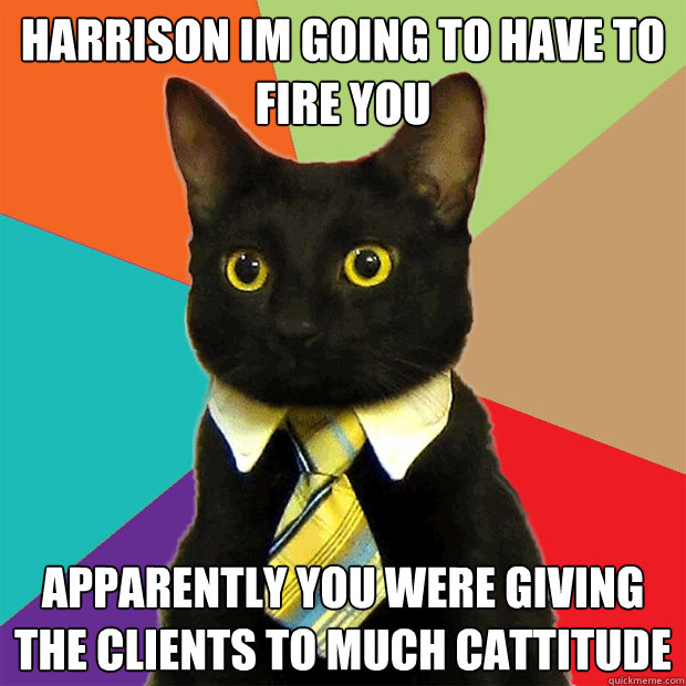 harrison im going to have to fire you apparently you were giving the clients to much cattitude  Business Cat