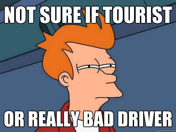 Not sure if tourist or really bad driver  Futurama Fry