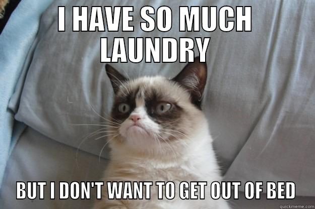 I HAVE SO MUCH LAUNDRY BUT I DON'T WANT TO GET OUT OF BED Grumpy Cat