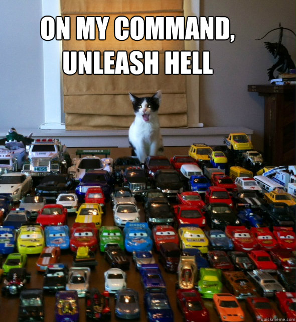 on my command, unleash hell   Rebellion Kitten