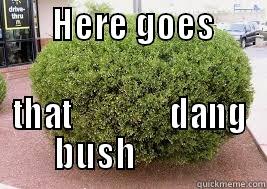        HERE GOES                                THAT               DANG     BUSH               Misc