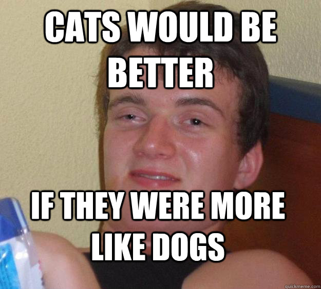 Cats would be better If they were more like dogs  10 Guy