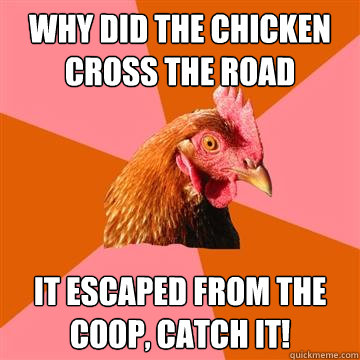 Why did the chicken cross the road it escaped from the coop, catch it! - Why did the chicken cross the road it escaped from the coop, catch it!  Anti-Joke Chicken