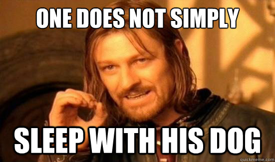 One Does Not Simply sleep with his dog  Boromir