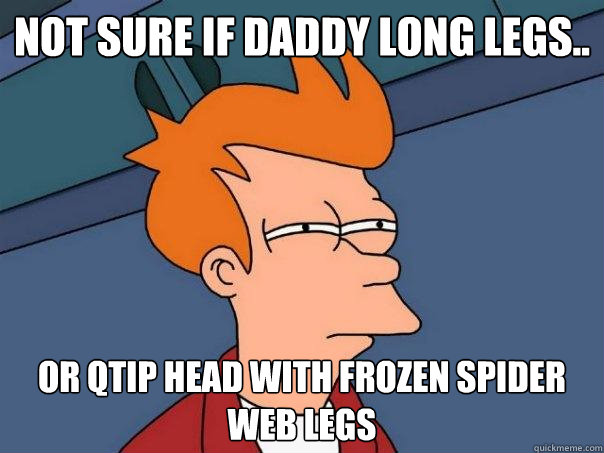 not sure if daddy long legs.. or Qtip head with frozen spider web legs  Futurama Fry