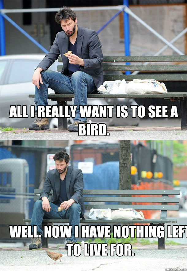 All I really want is to see a bird. Well. Now I have nothing left to live for.  Sad Keanu