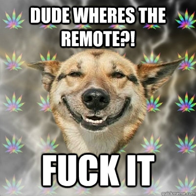 Dude wheres the remote?! fuck it  Stoner Dog