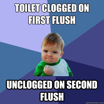 toilet clogged on first flush unclogged on second flush  Success Kid