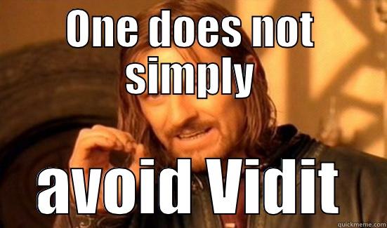 one does not simply avoid visit - ONE DOES NOT SIMPLY AVOID VIDIT Boromir