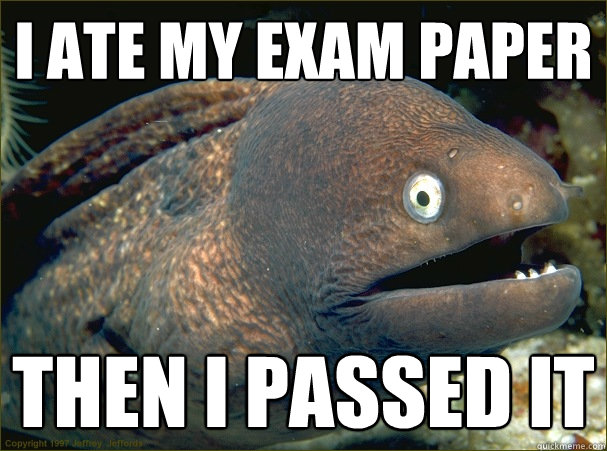 I ate my exam paper then I passed it  Bad Joke Eel