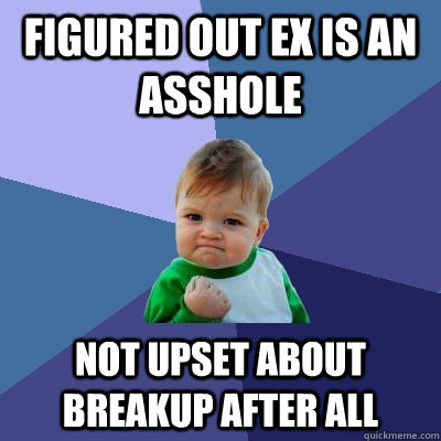 Figured out ex is an asshole not upset about breakup after all - Figured out ex is an asshole not upset about breakup after all  Success Kid