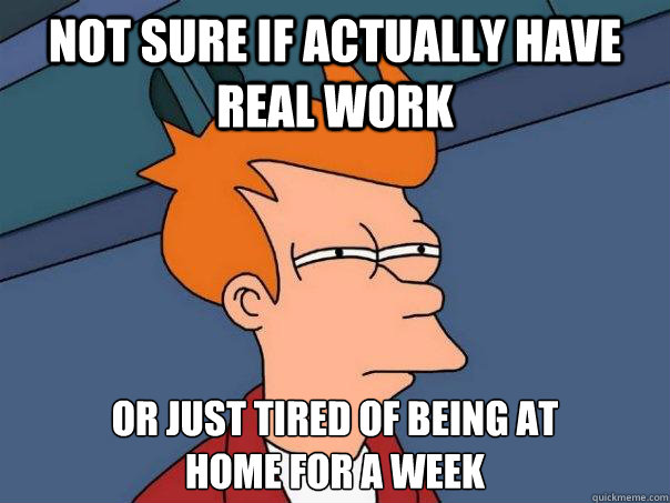 Not sure if actually have real work Or just tired of being at 
home for a week  Futurama Fry