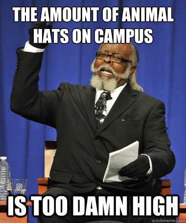 the amount of animal hats on campus is too damn high  The Rent Is Too Damn High