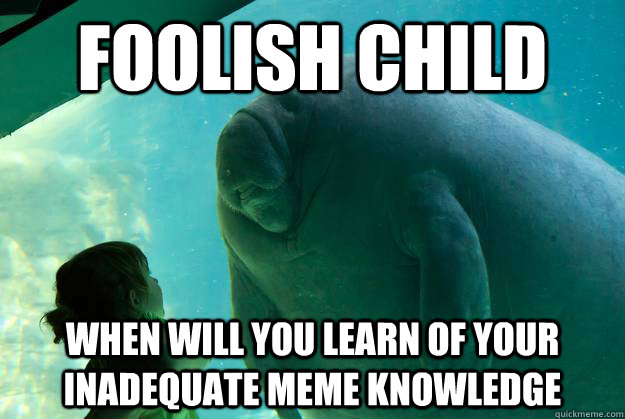 Foolish child when will you learn of your inadequate meme knowledge - Foolish child when will you learn of your inadequate meme knowledge  Overlord Manatee