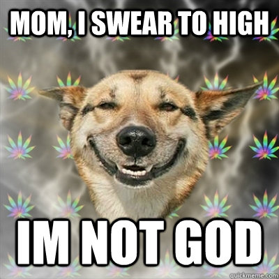 MOM, I swear to high im not god  Stoner Dog