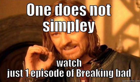 1 Breaking bad - ONE DOES NOT SIMPLEY WATCH JUST 1 EPISODE OF BREAKING BAD Boromir