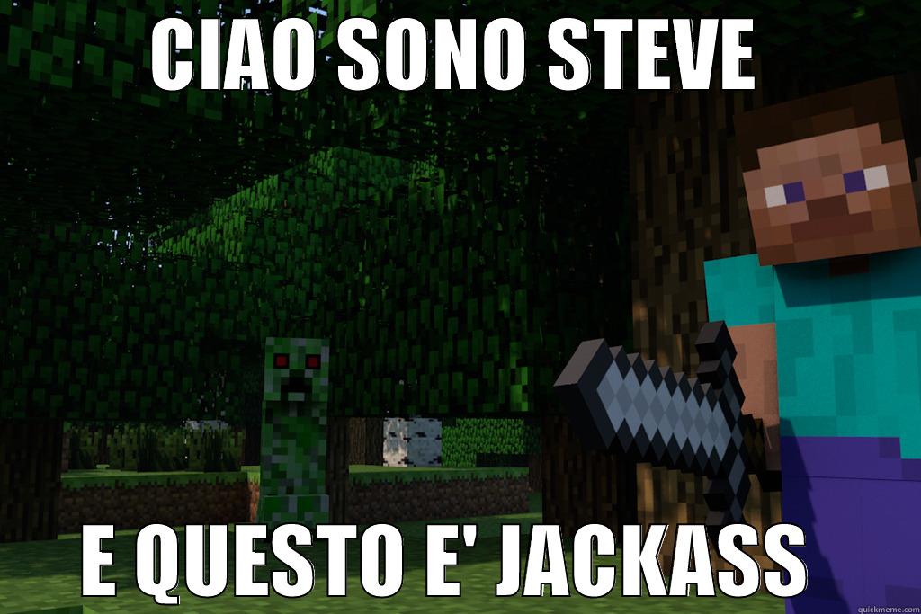 CIAO SONO STEVE E QUESTO E' JACKASS  Misc