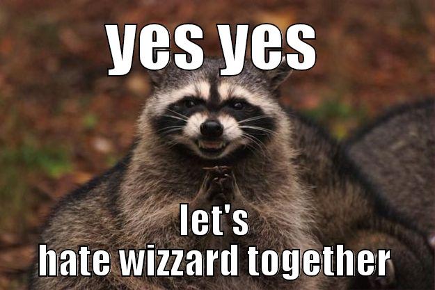 YES YES LET'S HATE WIZZARD TOGETHER Evil Plotting Raccoon