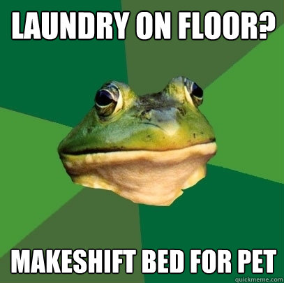 laundry on floor? makeshift bed for pet  Foul Bachelor Frog