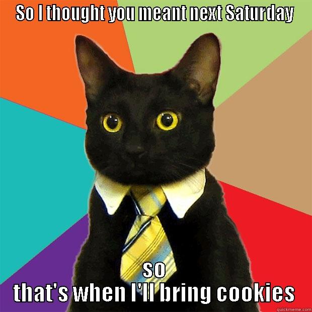 SO I THOUGHT YOU MEANT NEXT SATURDAY SO THAT'S WHEN I'LL BRING COOKIES Business Cat