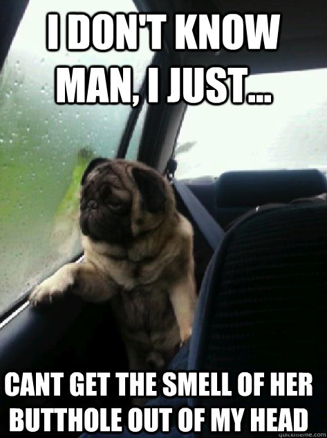 I don't know man, I just... Cant get the smell of her butthole out of my head  Introspective Pug