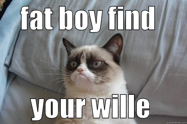 fat boy - FAT BOY FIND  YOUR WILLE Grumpy Cat