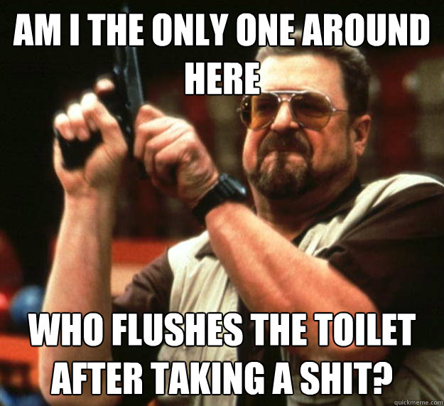 am I the only one around here who flushes the toilet after taking a shit?  Angry Walter