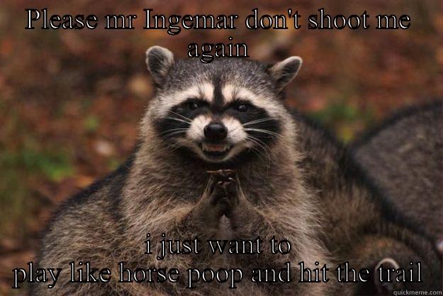 PLEASE MR INGEMAR DON'T SHOOT ME AGAIN I JUST WANT TO PLAY LIKE HORSE POOP AND HIT THE TRAIL Evil Plotting Raccoon