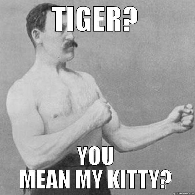 TIGER? YOU MEAN MY KITTY? overly manly man