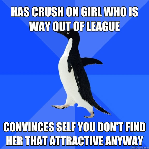 Has crush on girl who is way out of league convinces self you don't find her that attractive anyway  Socially Awkward Penguin