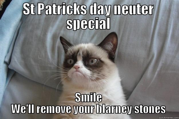 ST PATRICKS DAY NEUTER SPECIAL SMILE WE'LL REMOVE YOUR BLARNEY STONES Grumpy Cat