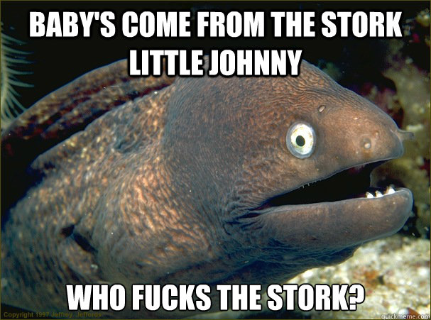 Baby's come from the stork little johnny Who fucks the stork?  Bad Joke Eel